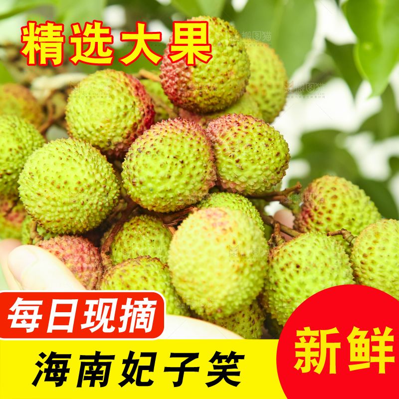 手里拿着妃子笑荔枝