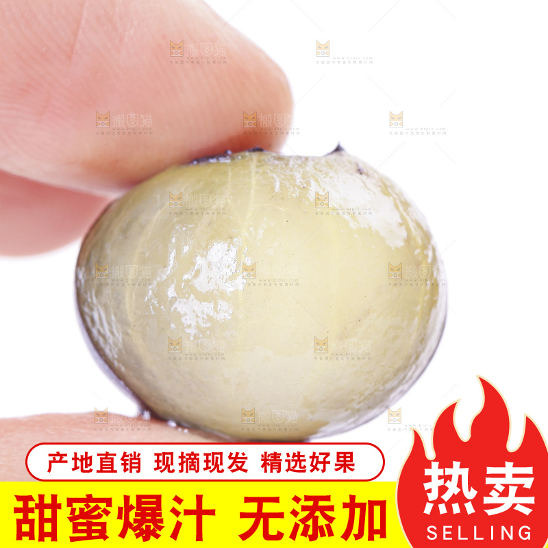 手里拿着蓝莓果