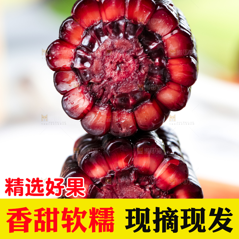 木底上摆放着东北黑玉米