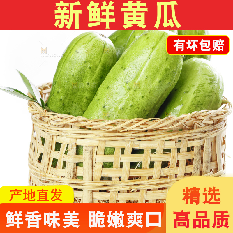篮子里装着蔬菜黄瓜