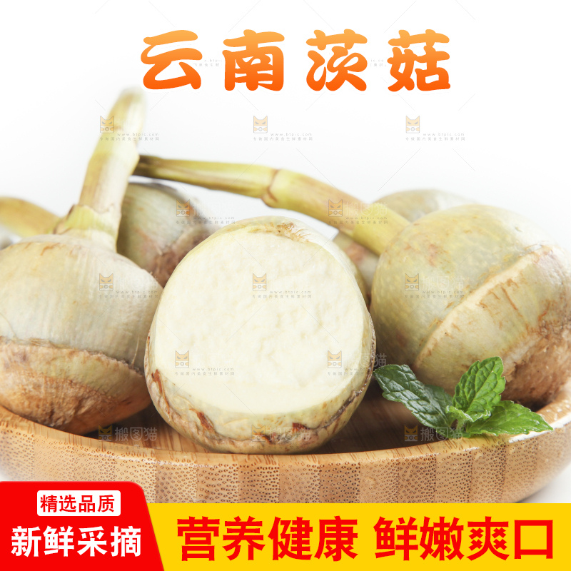 盘子里放着白慈菇