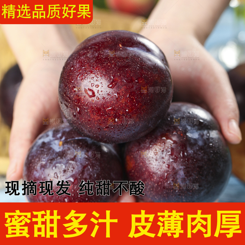手里拿着黑李子
