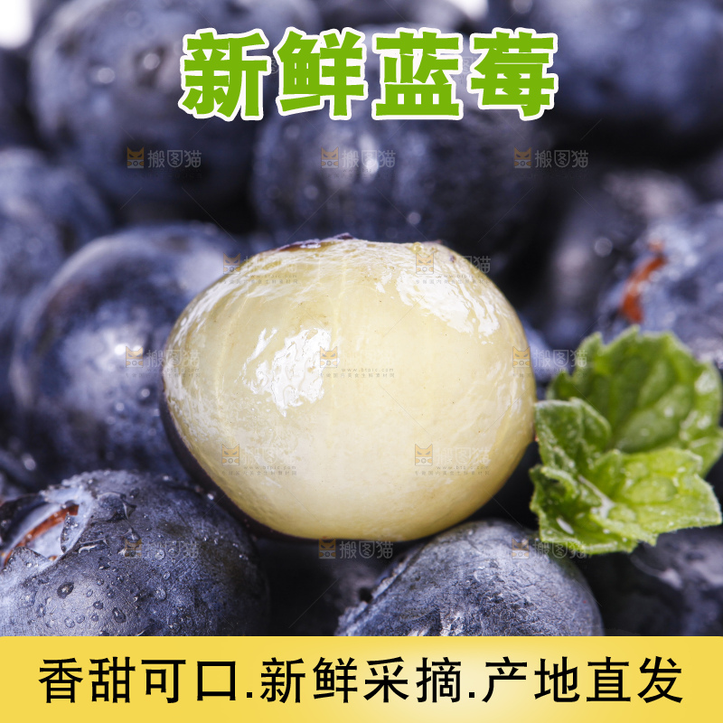 碟子里装着蓝莓果