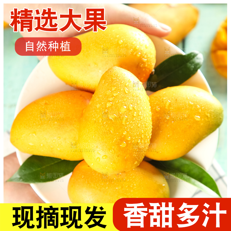 手里端着海南小台农芒果