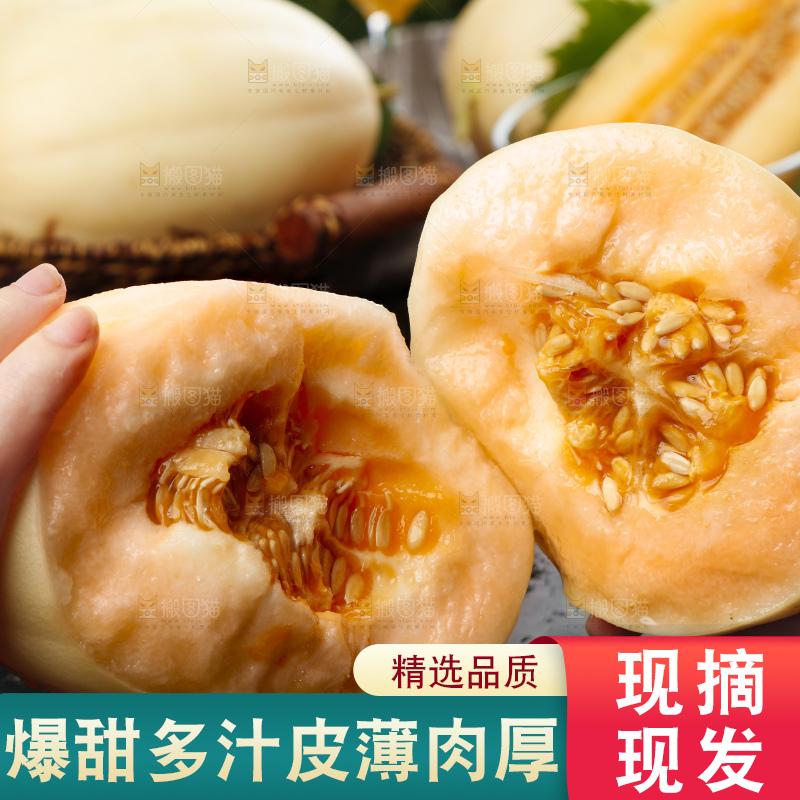 手里拿着东方蜜甜瓜