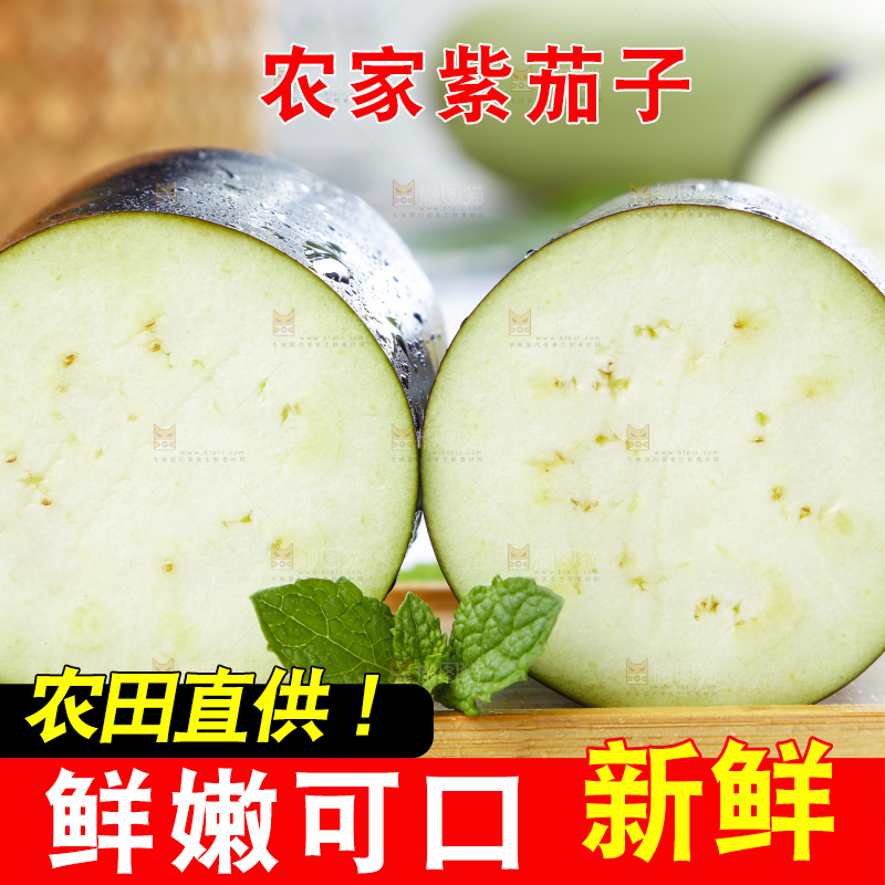 白底上摆放着紫茄子
