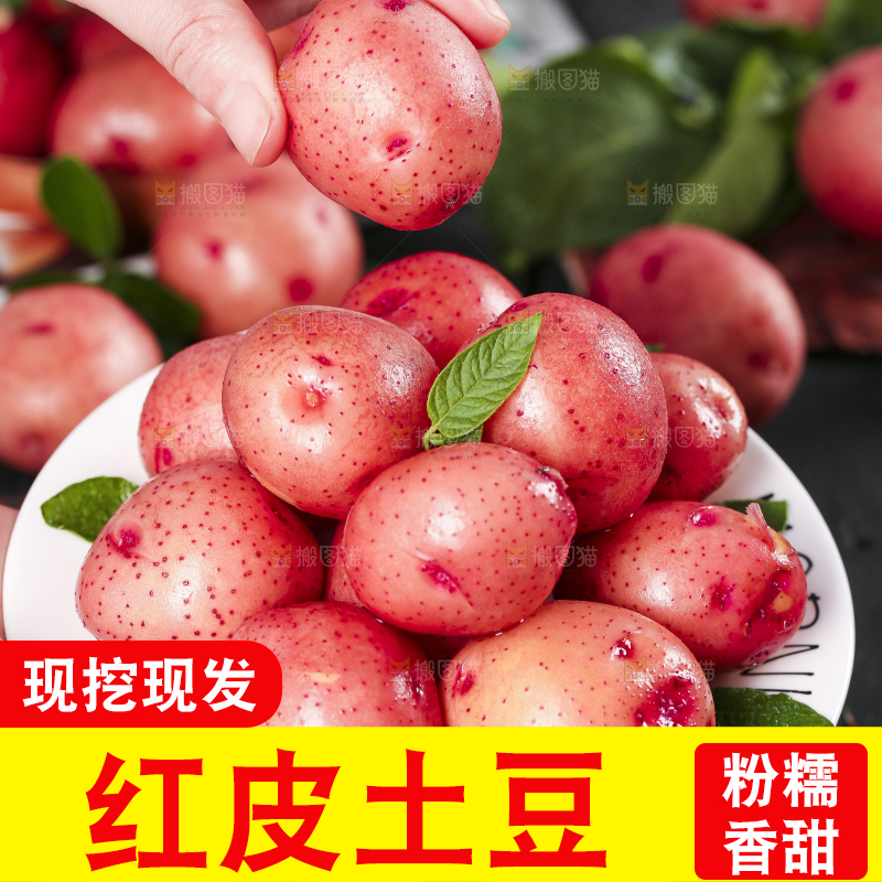 手里拿着红皮土豆
