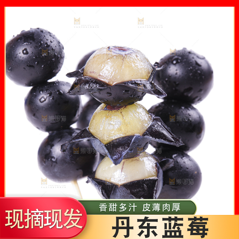 竹签串着蓝莓果