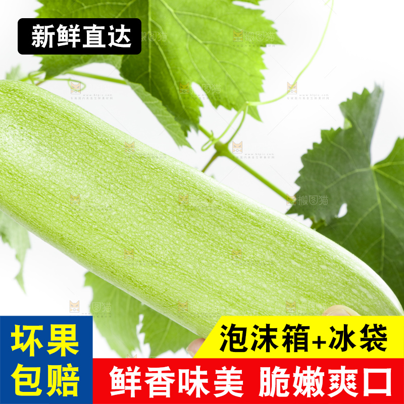 手里拿着西葫芦