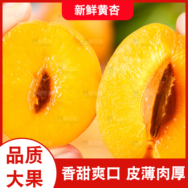 手里拿着黄杏