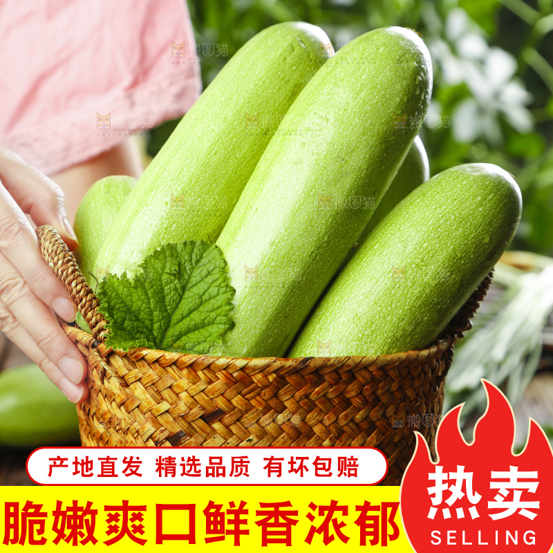 篮子里装着山东西葫芦