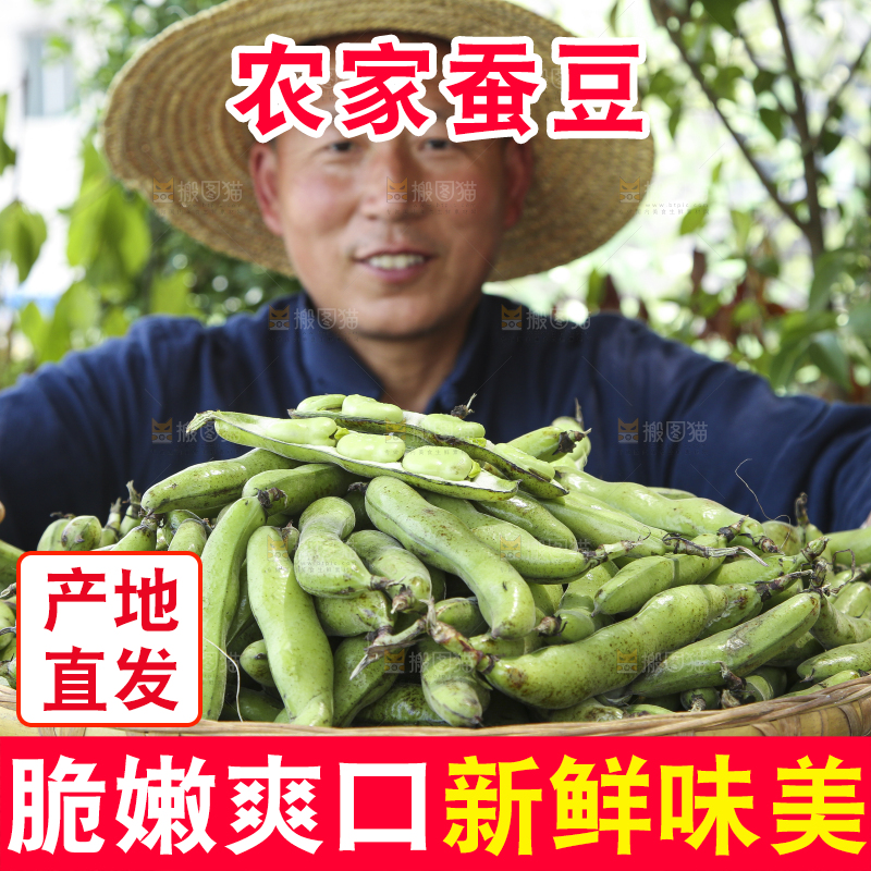 农民手里端着一篮青胡豆