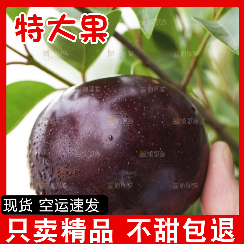 手里拿着黑布林
