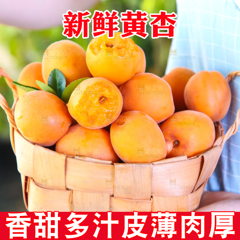 手里提着一篮杏子