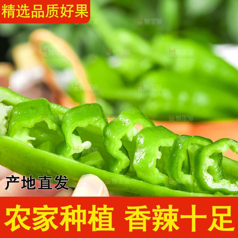 手里拿着青椒