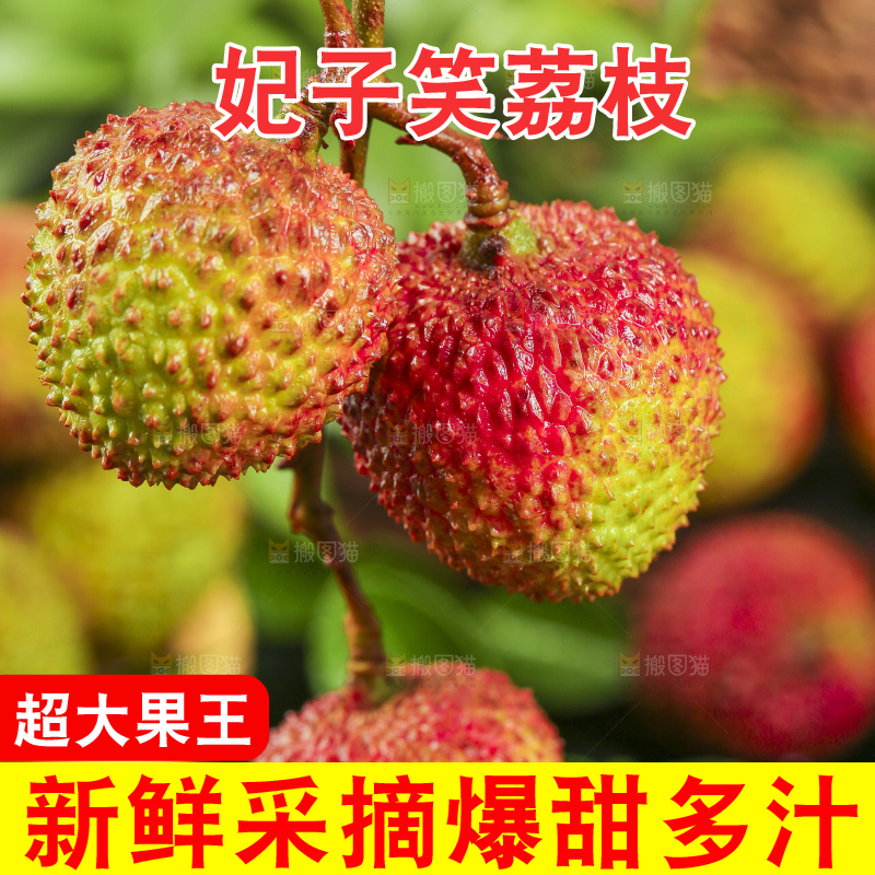 手里拿着高州妃子笑荔枝