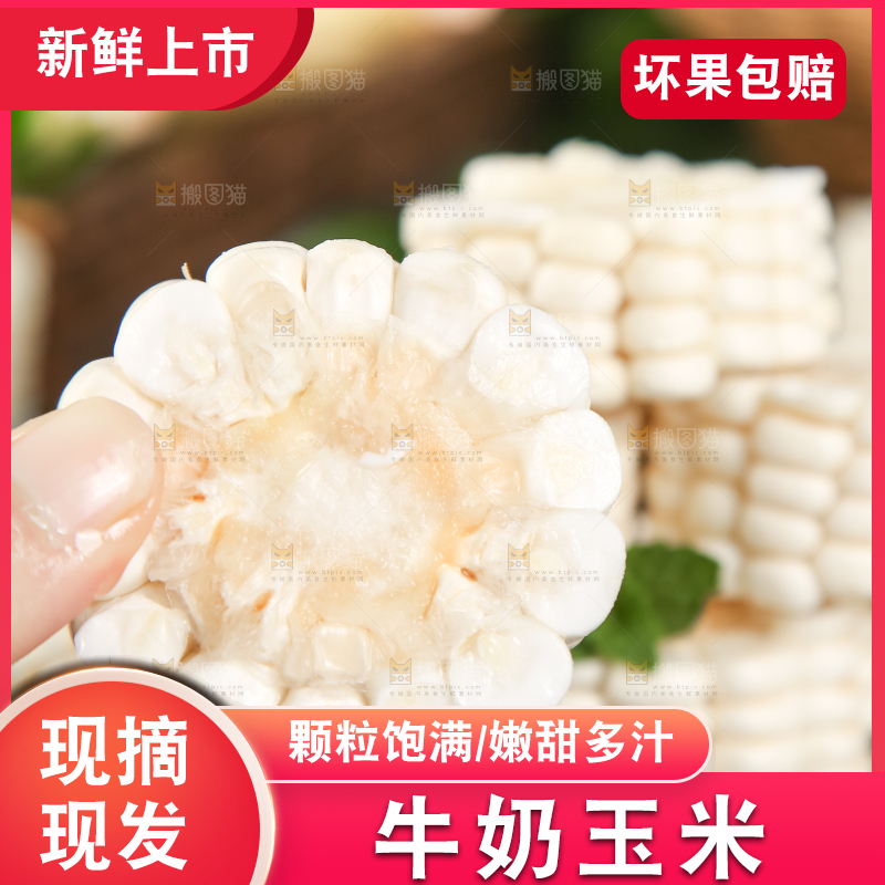 黑底上放着白玉米