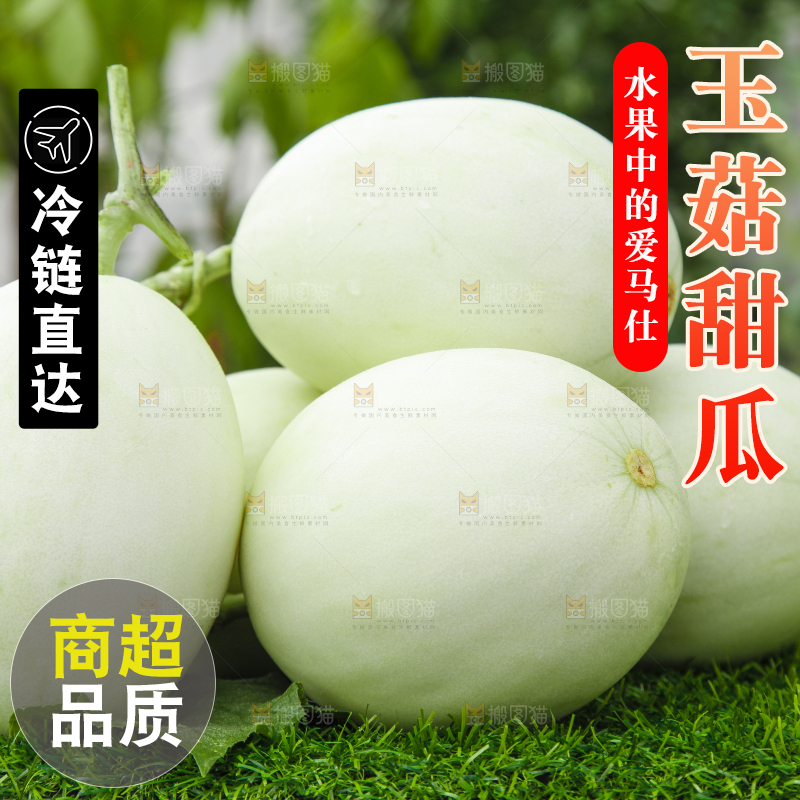 绿草地上摆放着玉菇甜瓜
