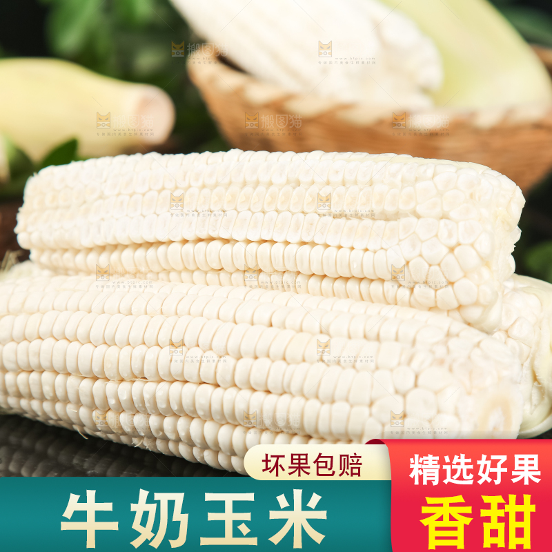 深底上放着漳州牛奶玉米