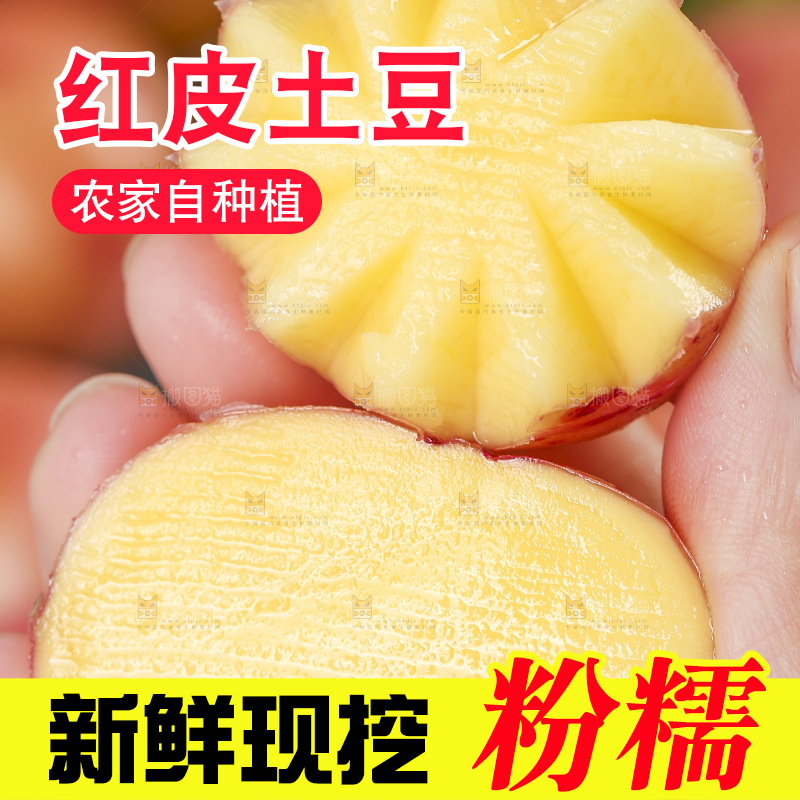 手里拿着红皮土豆