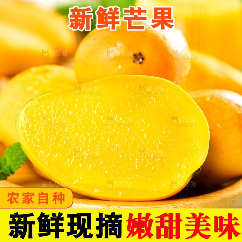 木底上摆放着台农芒