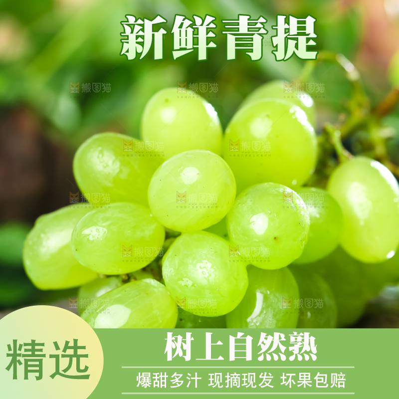 石板上放着澳洲无籽青提