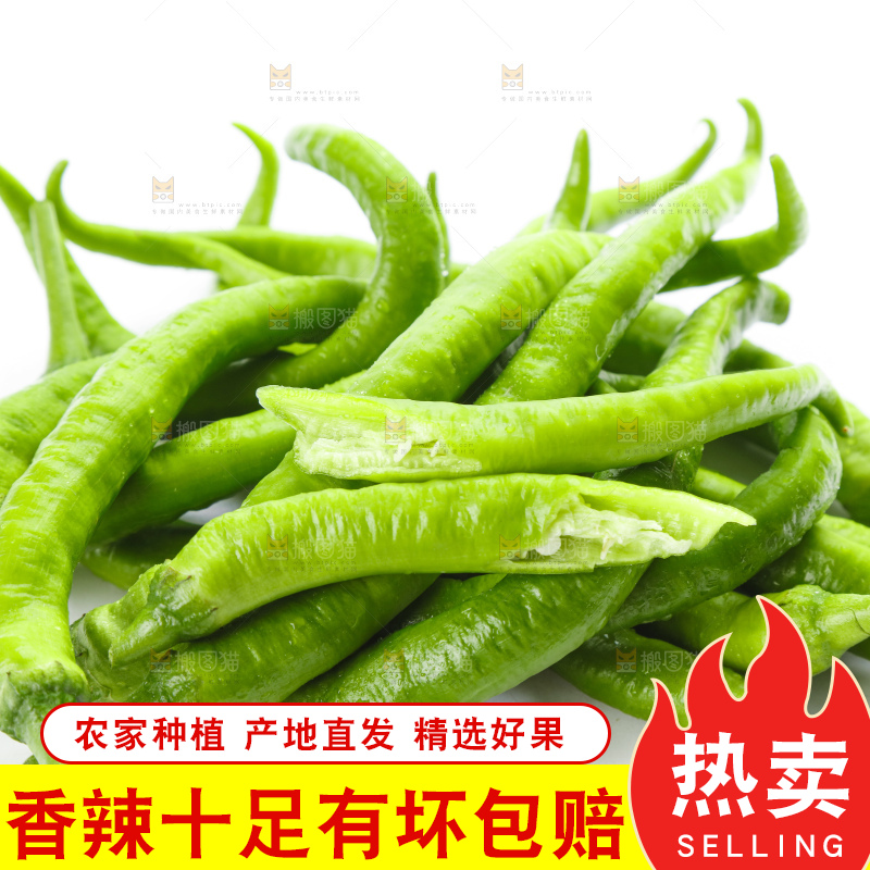 白底上摆放着青尖椒