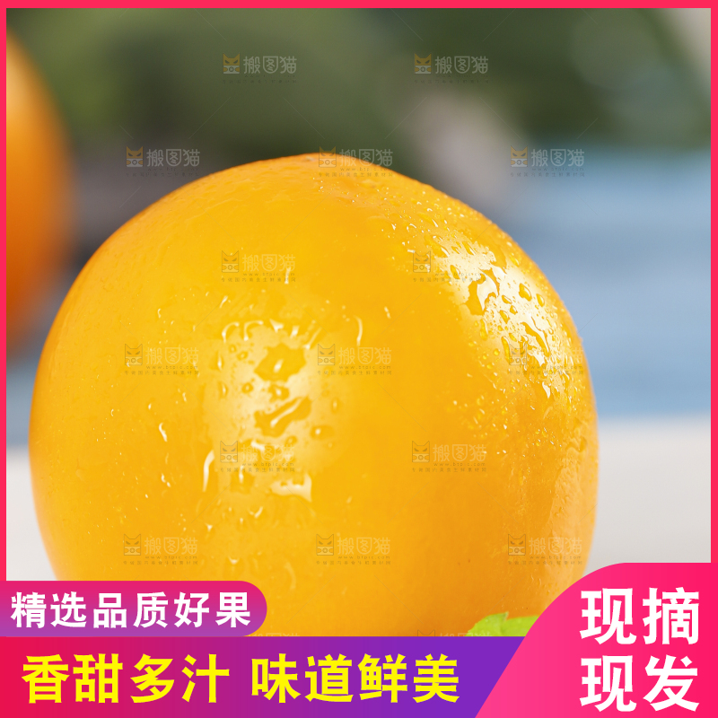 白底上摆放着黄金圣女果