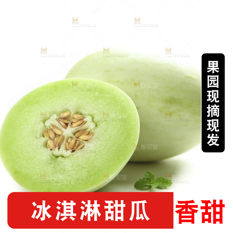 白底上摆放着南汇玉菇甜瓜