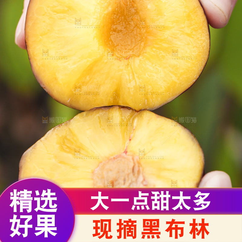 手里拿着黑布林
