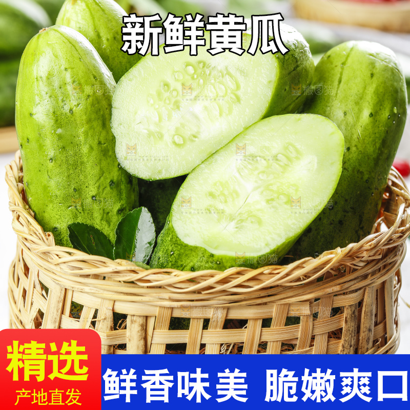 篮子里装着新鲜黄瓜