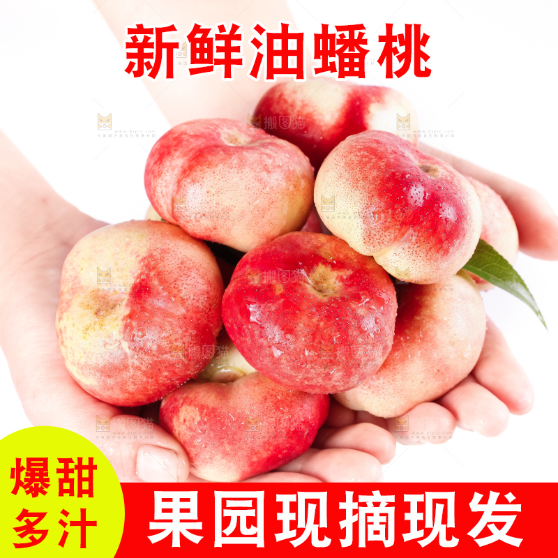 手里捧着油蟠桃