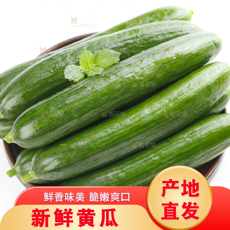 白底上摆放着嫩黄瓜