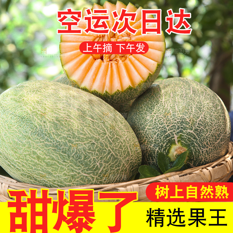 手里端着一篮网纹瓜