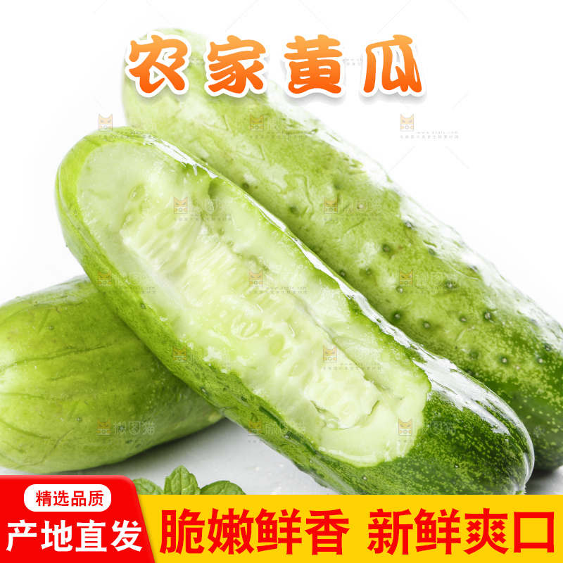 白底上放着刺青瓜