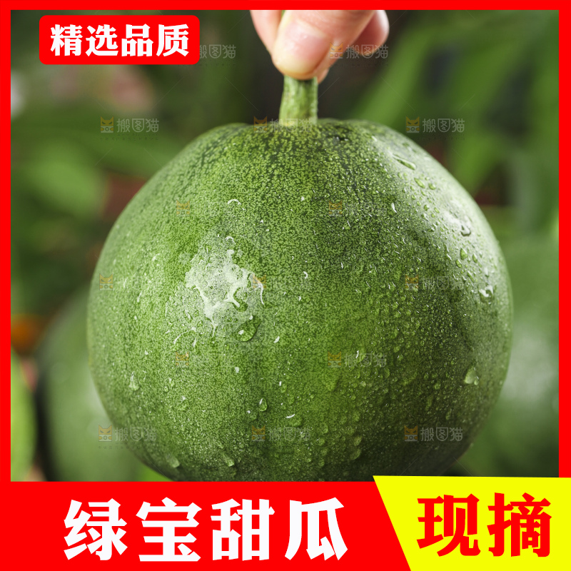 手里拿着绿宝甜瓜
