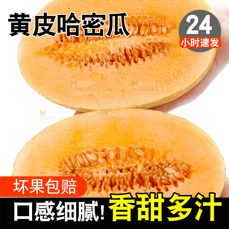 手里拿着新疆黄皮哈密瓜