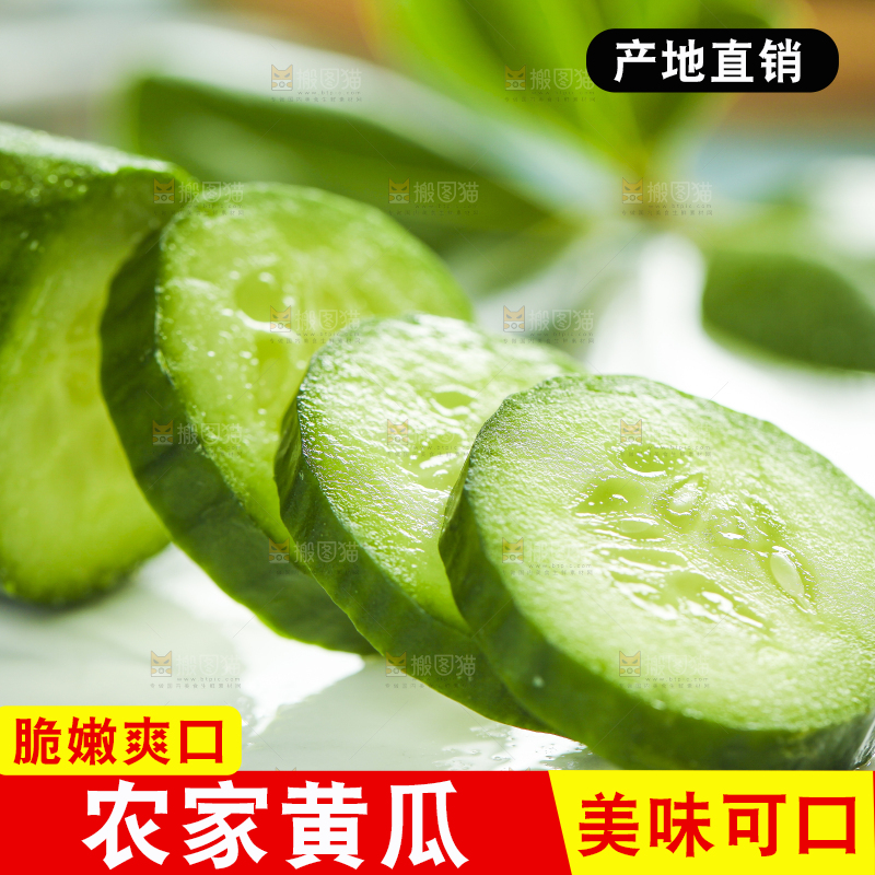 白底上摆放着切片的小青瓜