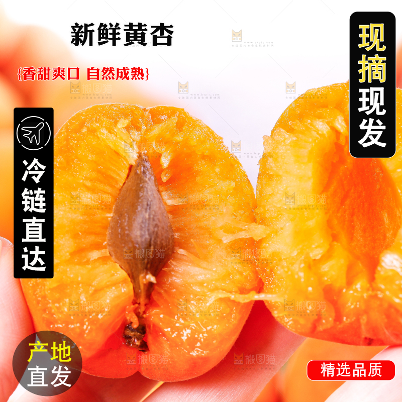 木底上放着陕西新鲜大黄杏