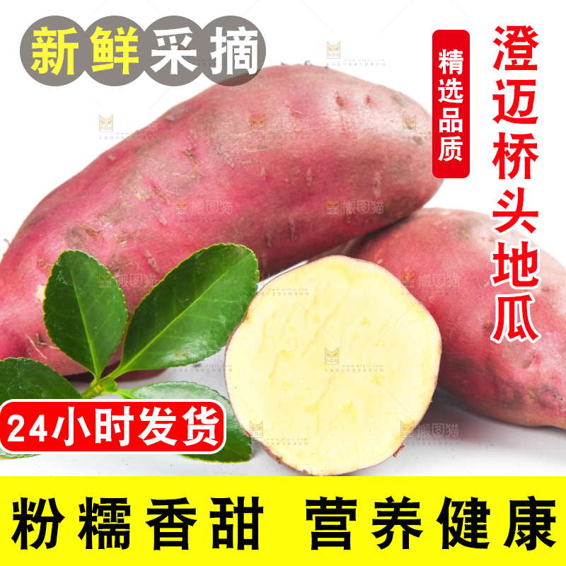 白底上放着海南桥头地瓜