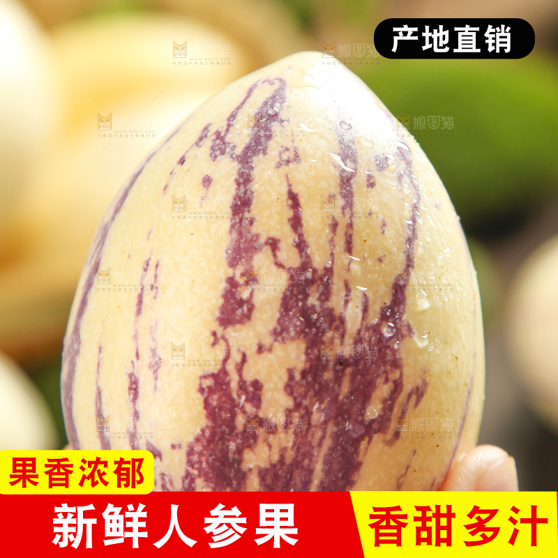 手里拿着人参圆果