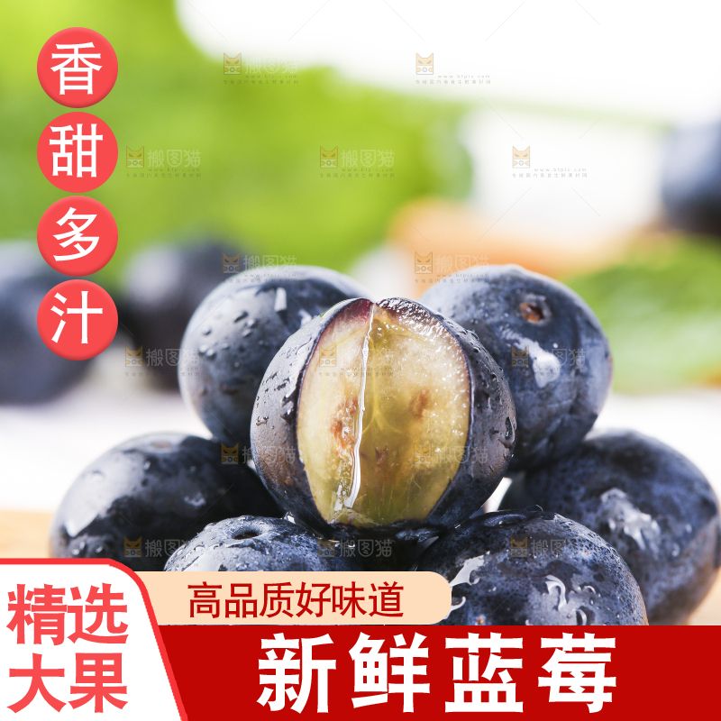 木板上摆放着新鲜蓝莓