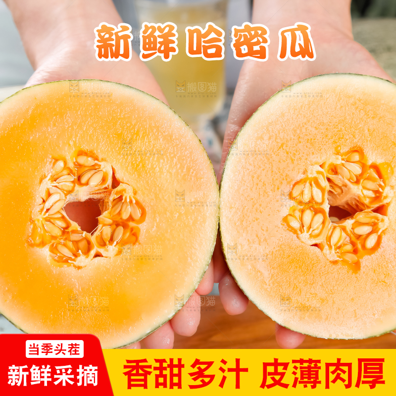 手里拿着网纹瓜
