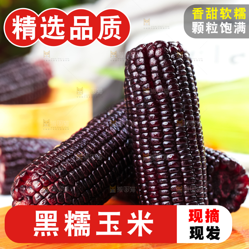 木底上放着紫黑玉米