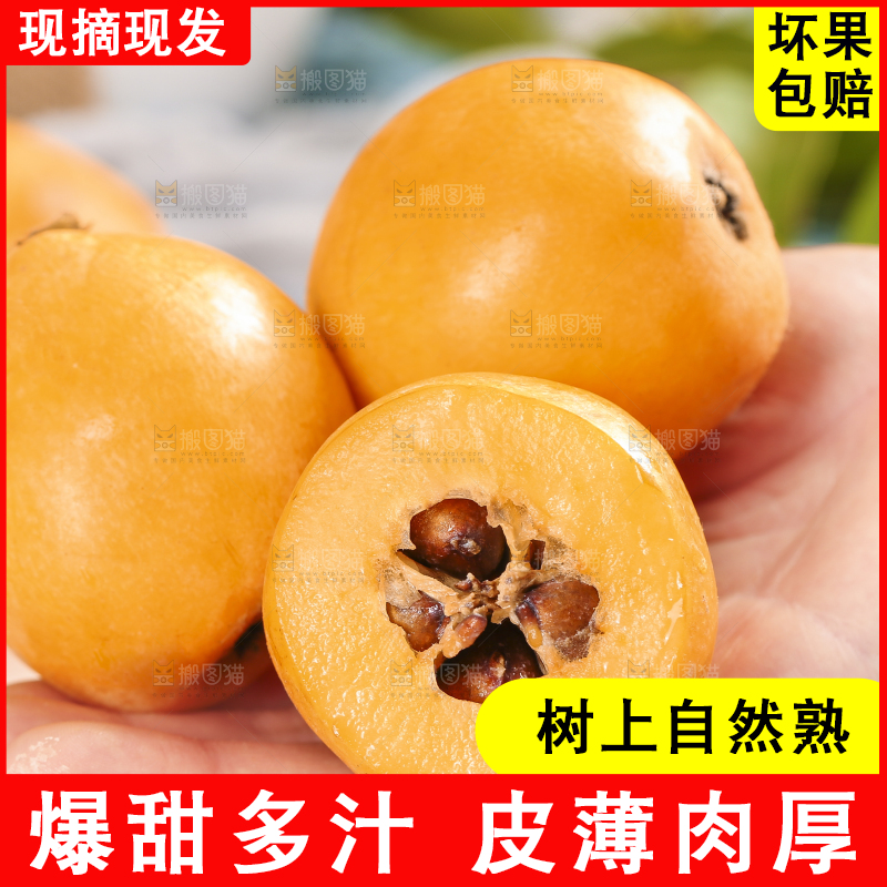 手里拿着枇杷果