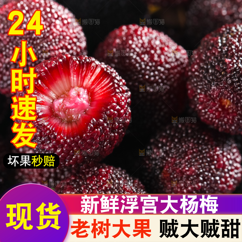 篮子里装着野生杨梅
