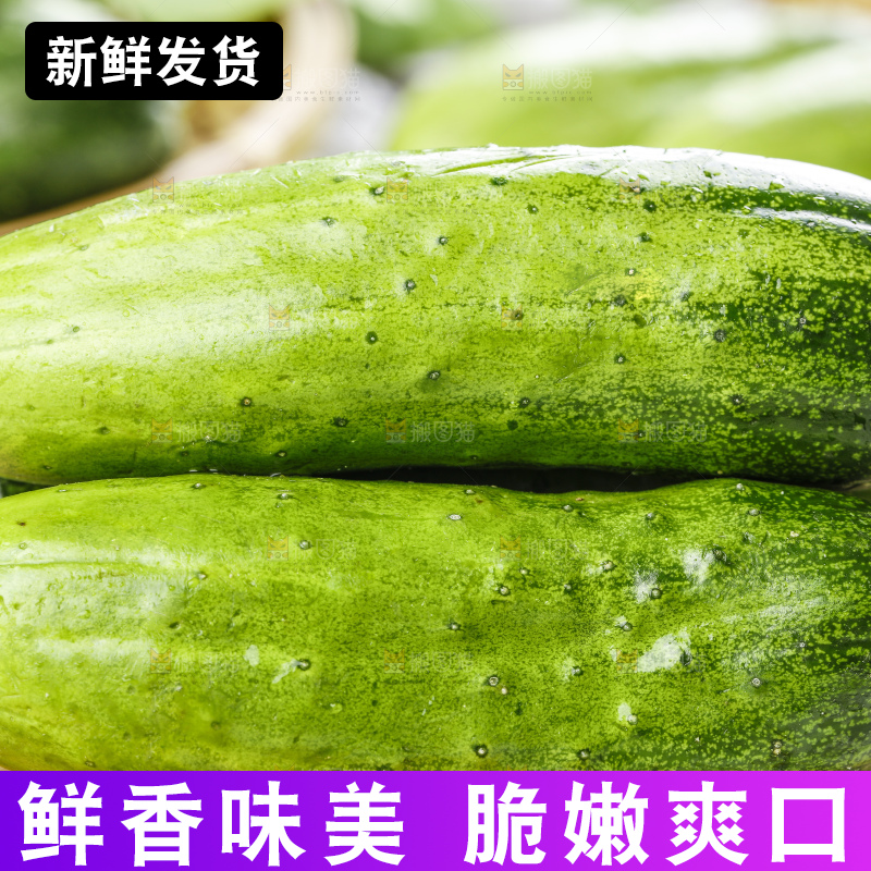 木底上放着农家黄瓜