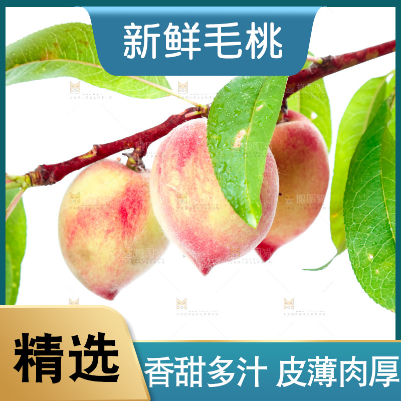 白底上摆放着毛桃