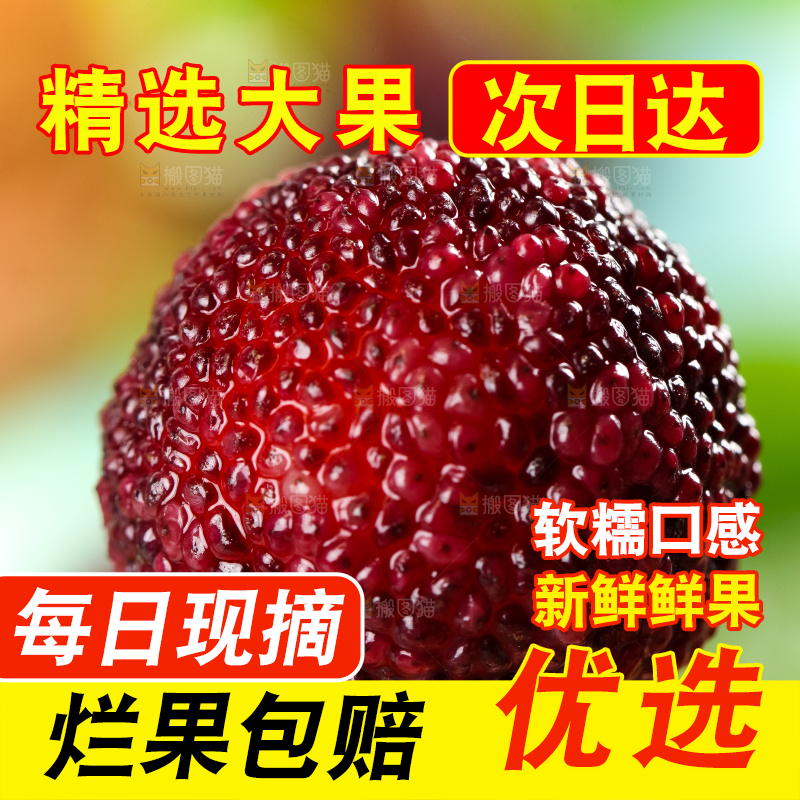 手里拿着杨梅