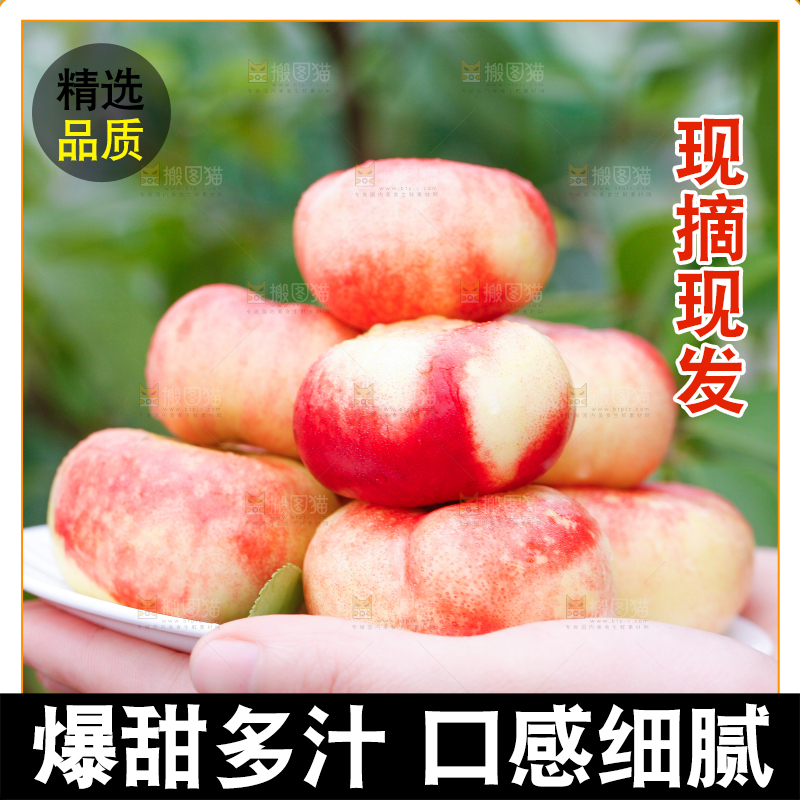 手里端着山东纽扣油蟠桃